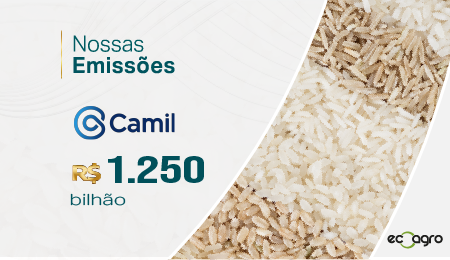 -_camil--BannerRadar