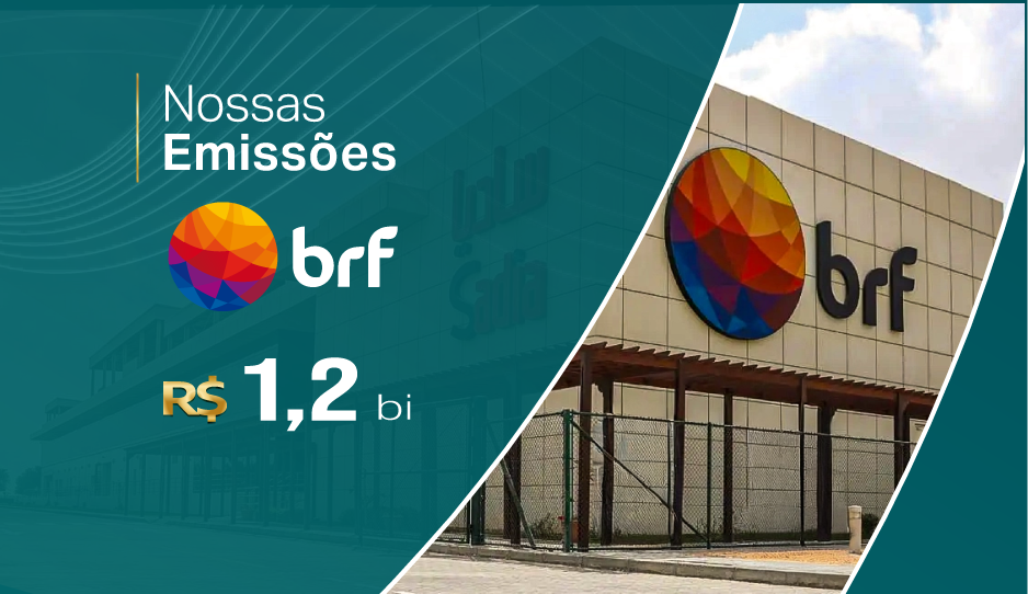 -_BRF-BannerRadar - B